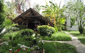 ece veganhotel Bodrum